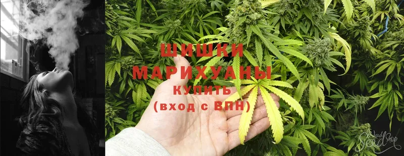 купить наркоту  Рыбинск  Каннабис White Widow 